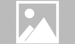 素材网视频,创意灵感一网打尽