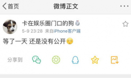 爆料吃瓜文案哪里找,吃瓜文案背后的秘密与技巧